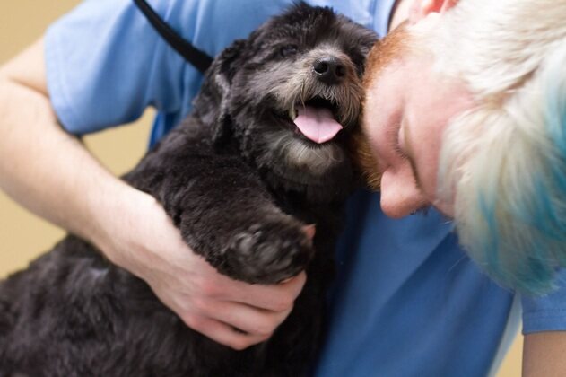 A groomer hugging a happy black dog